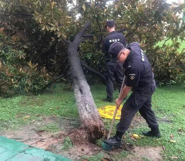 C:/Users/BA/Desktop/風(fēng)雨過(guò)后南京保安迅速行動(dòng)，恢復(fù)安“寧”面貌/10.jpg10