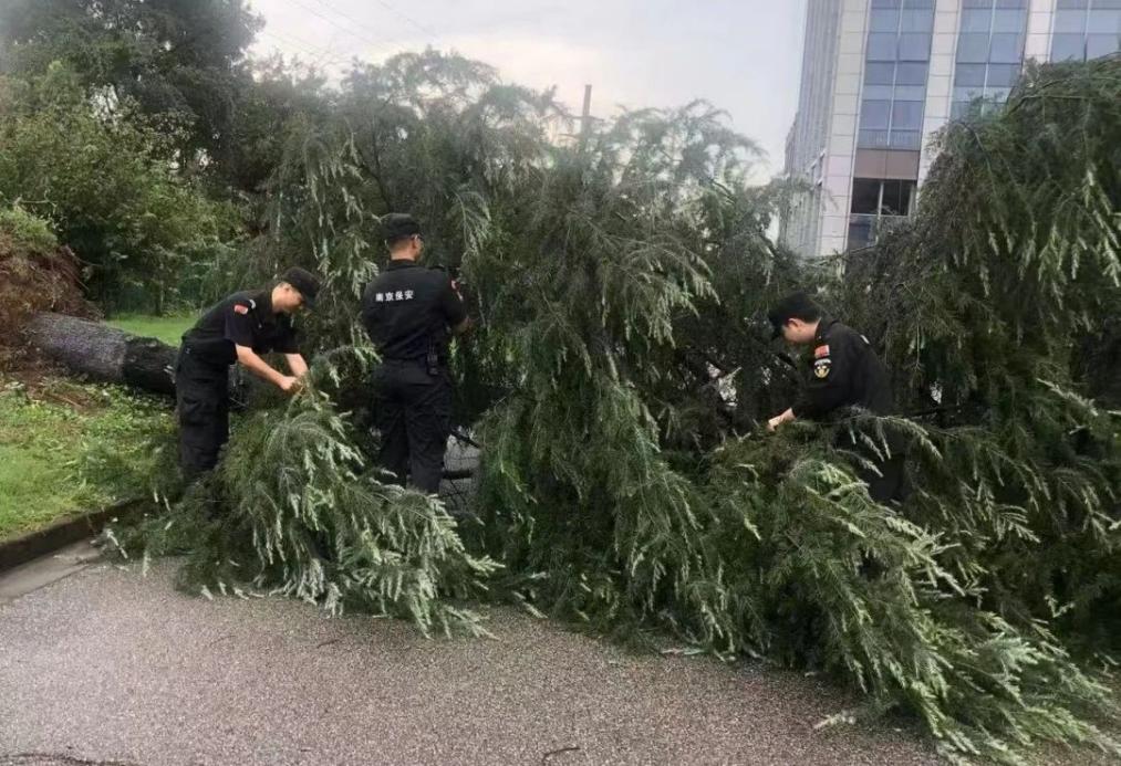 C:/Users/BA/Desktop/風(fēng)雨過(guò)后南京保安迅速行動(dòng)，恢復(fù)安“寧”面貌/1.jpg1
